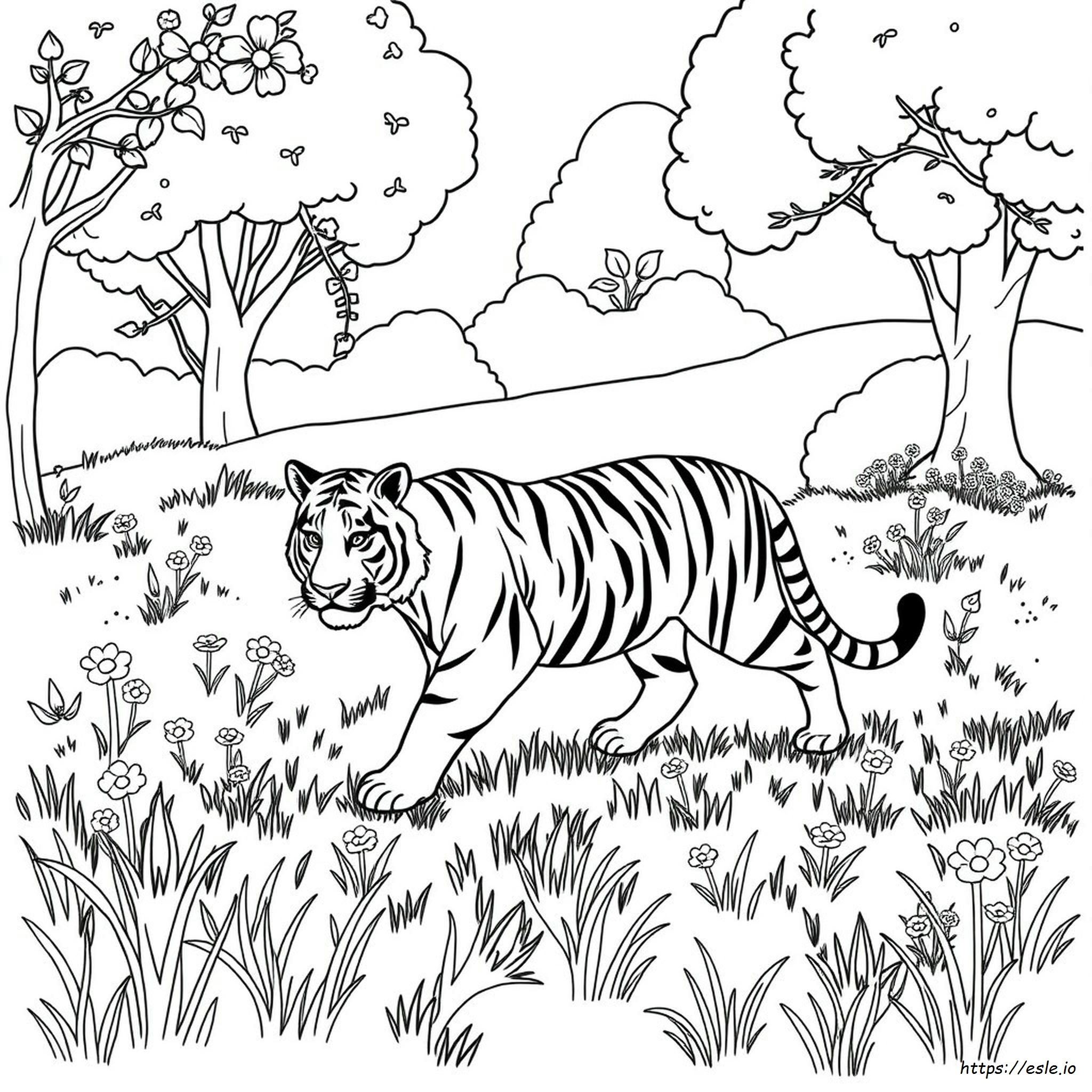 Tigris Színező