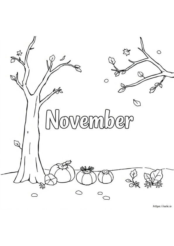 Apa Warna Bulan November