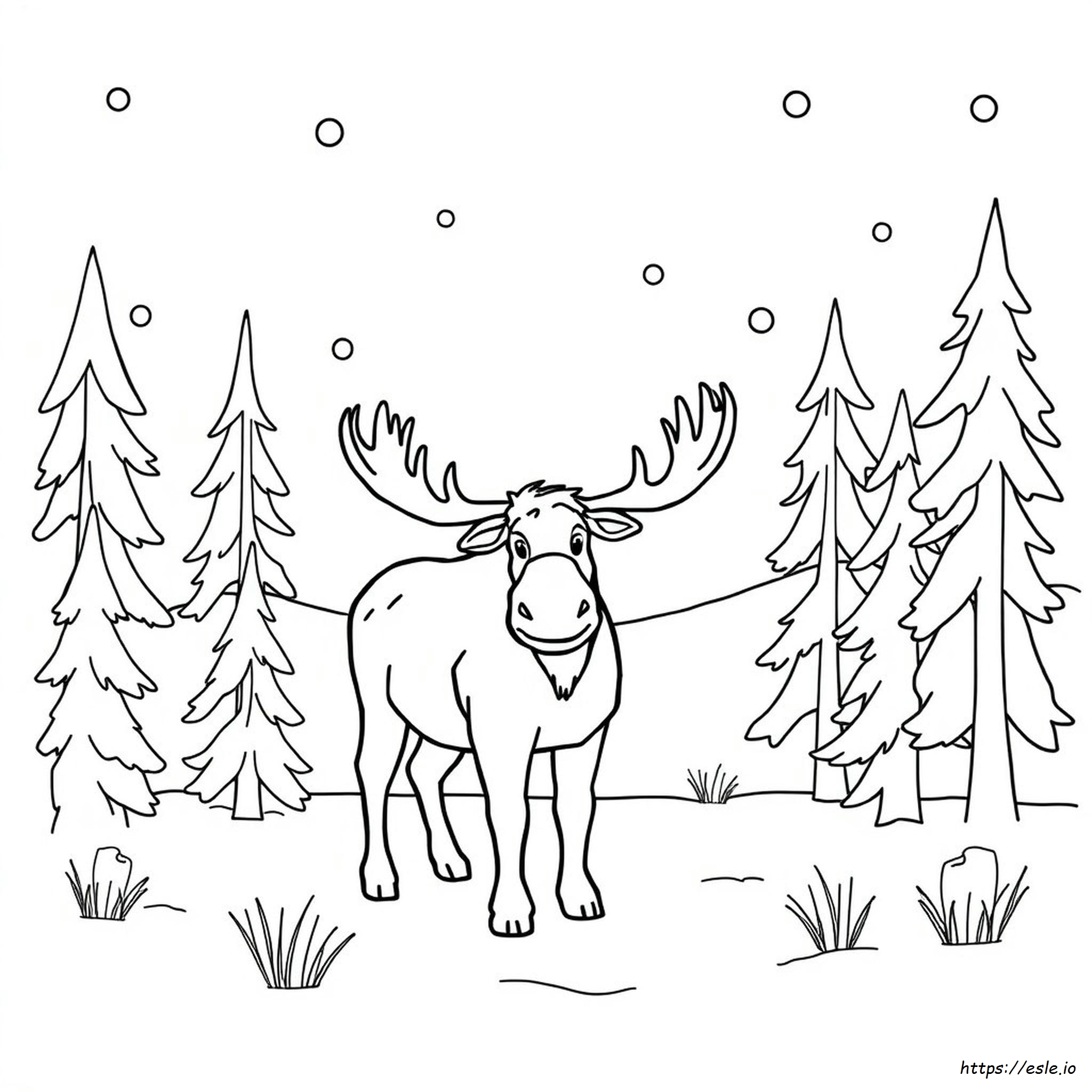 Moose Coloring Pages To Print