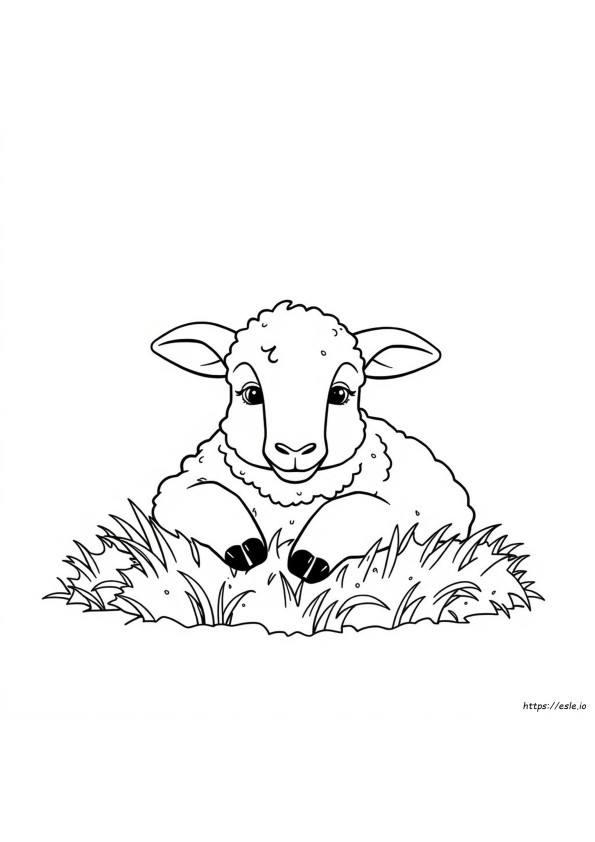 Coloriage Tête De Mouton