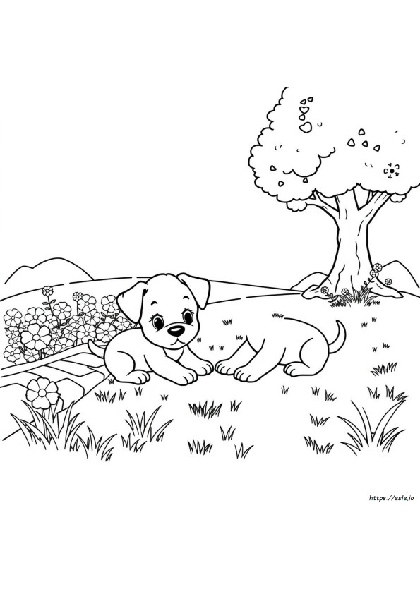 Gambar Mewarnai Anak Anjing