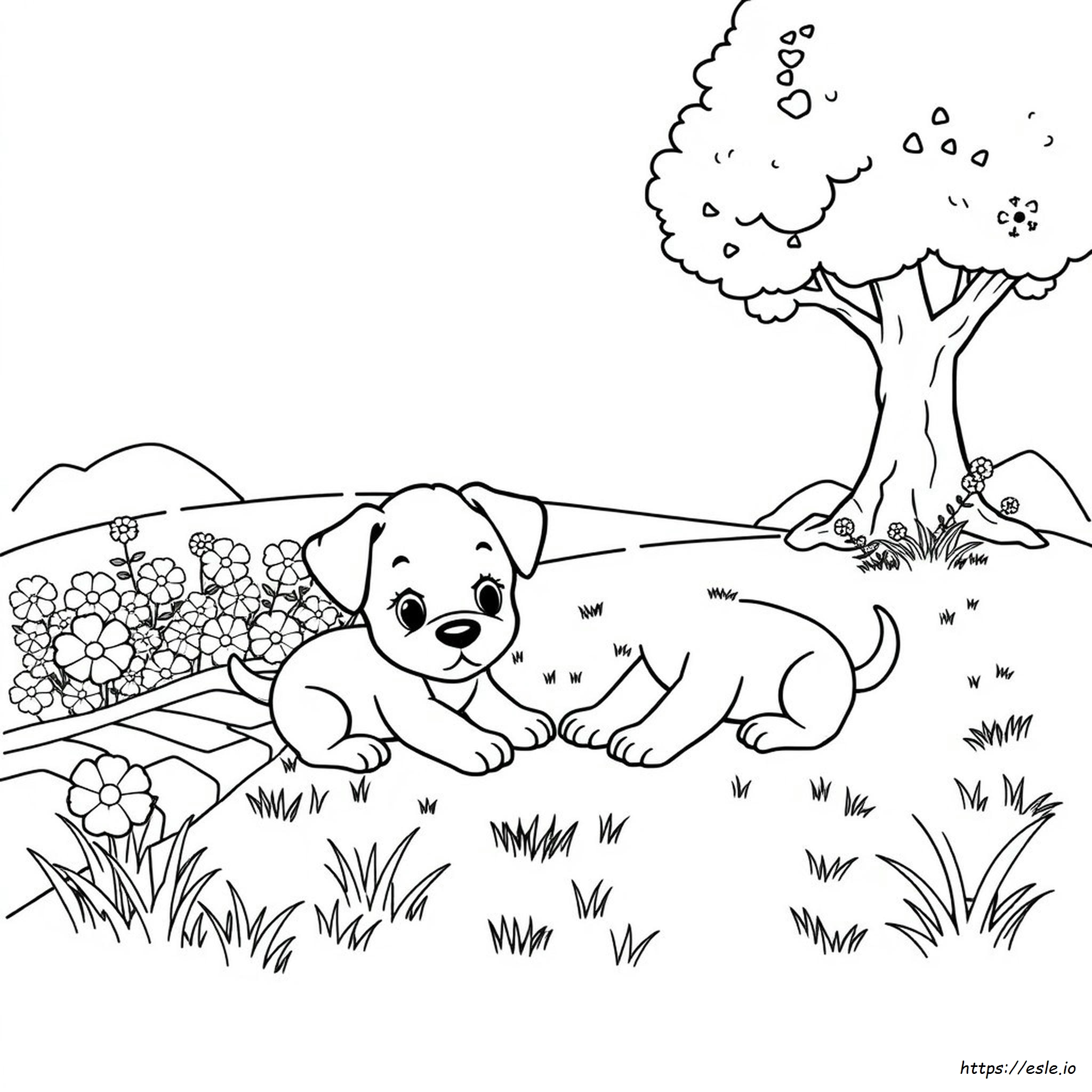 Pagina Da Colorare Con Cuccioli