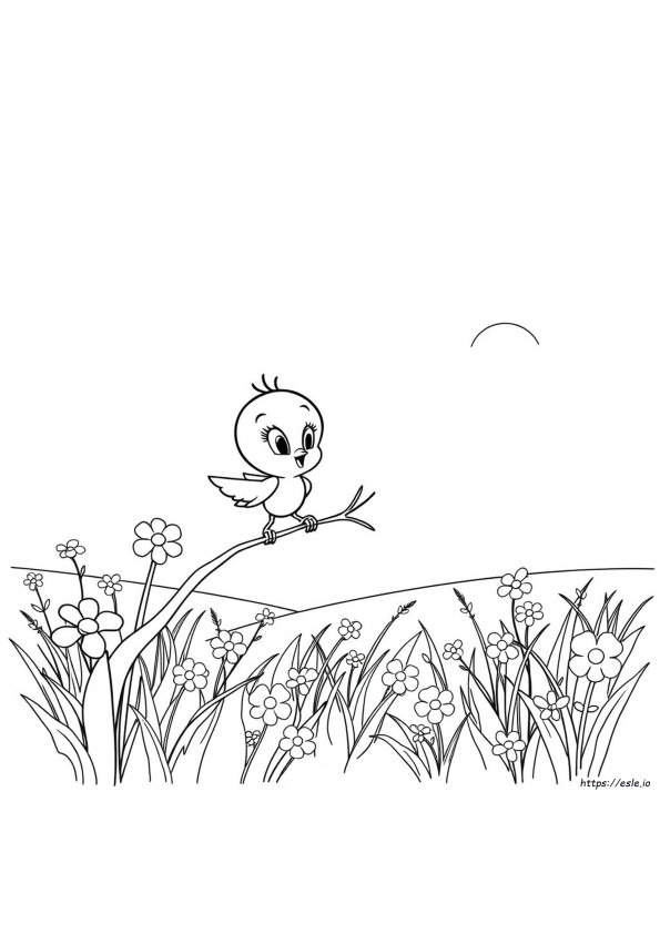 Tweety Coloring Book