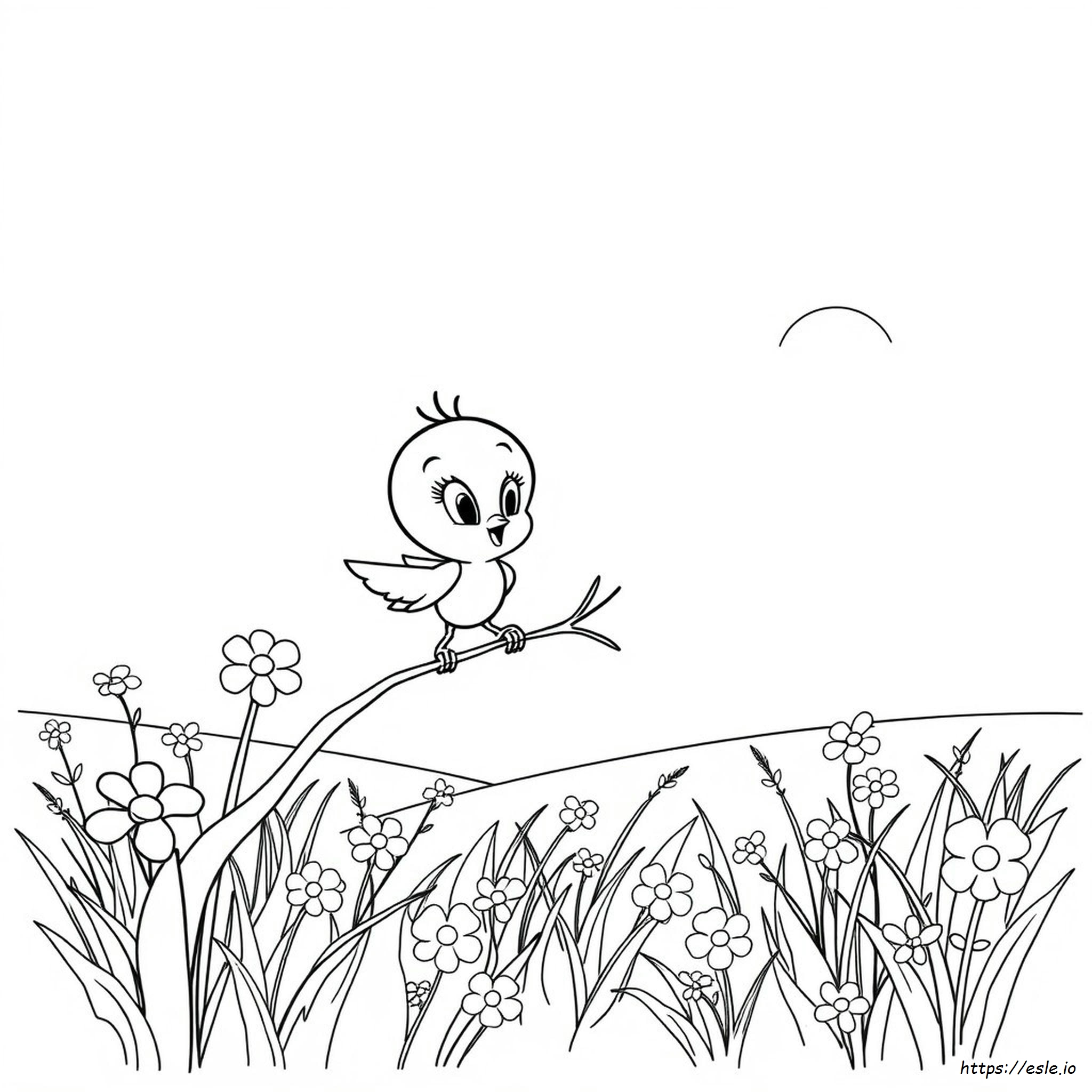Tweety Coloring Book
