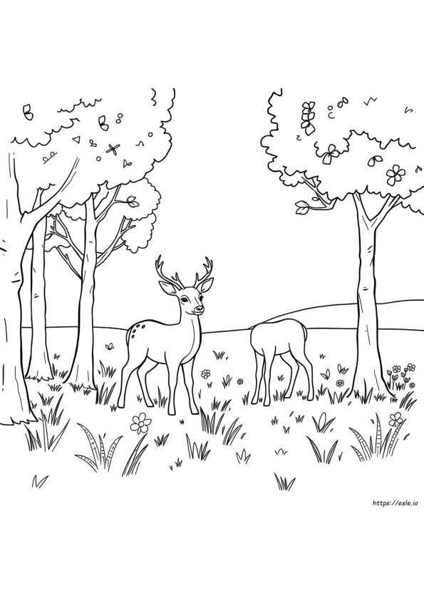 Coloriage Cerf