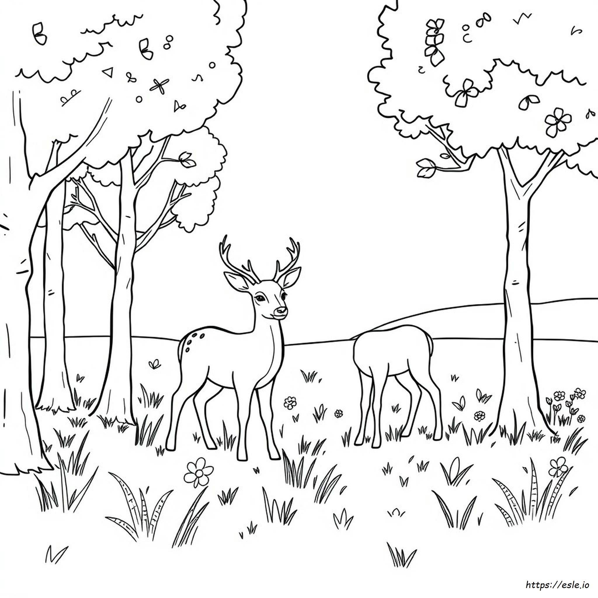 Disegni Di Cervi Da Colorare