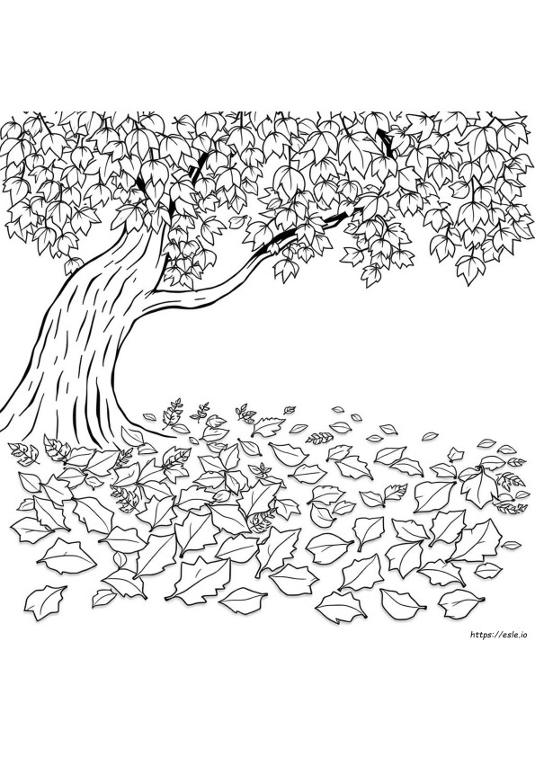 Coloring Pages Of Fall Leaves