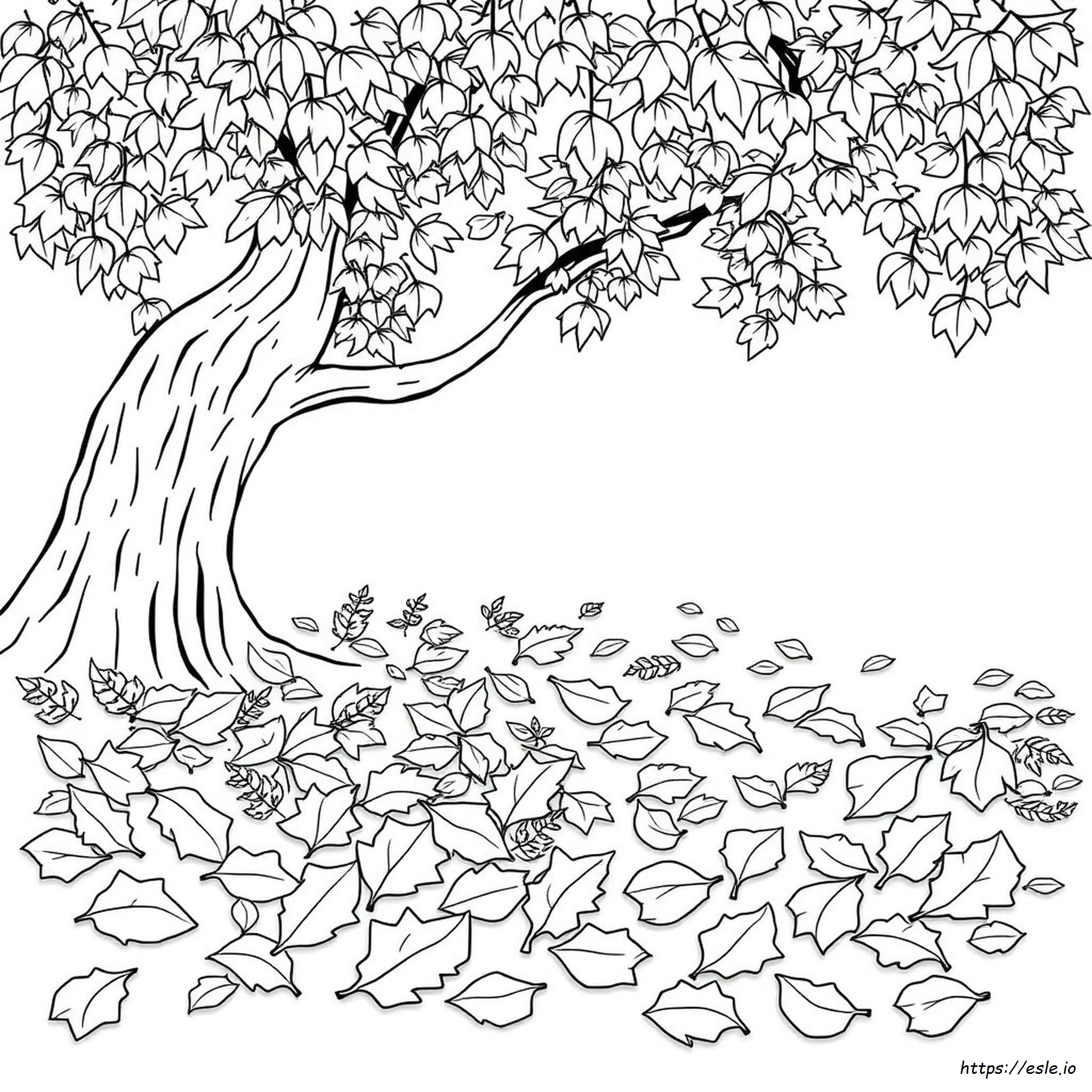 Coloring Pages Of Fall Leaves