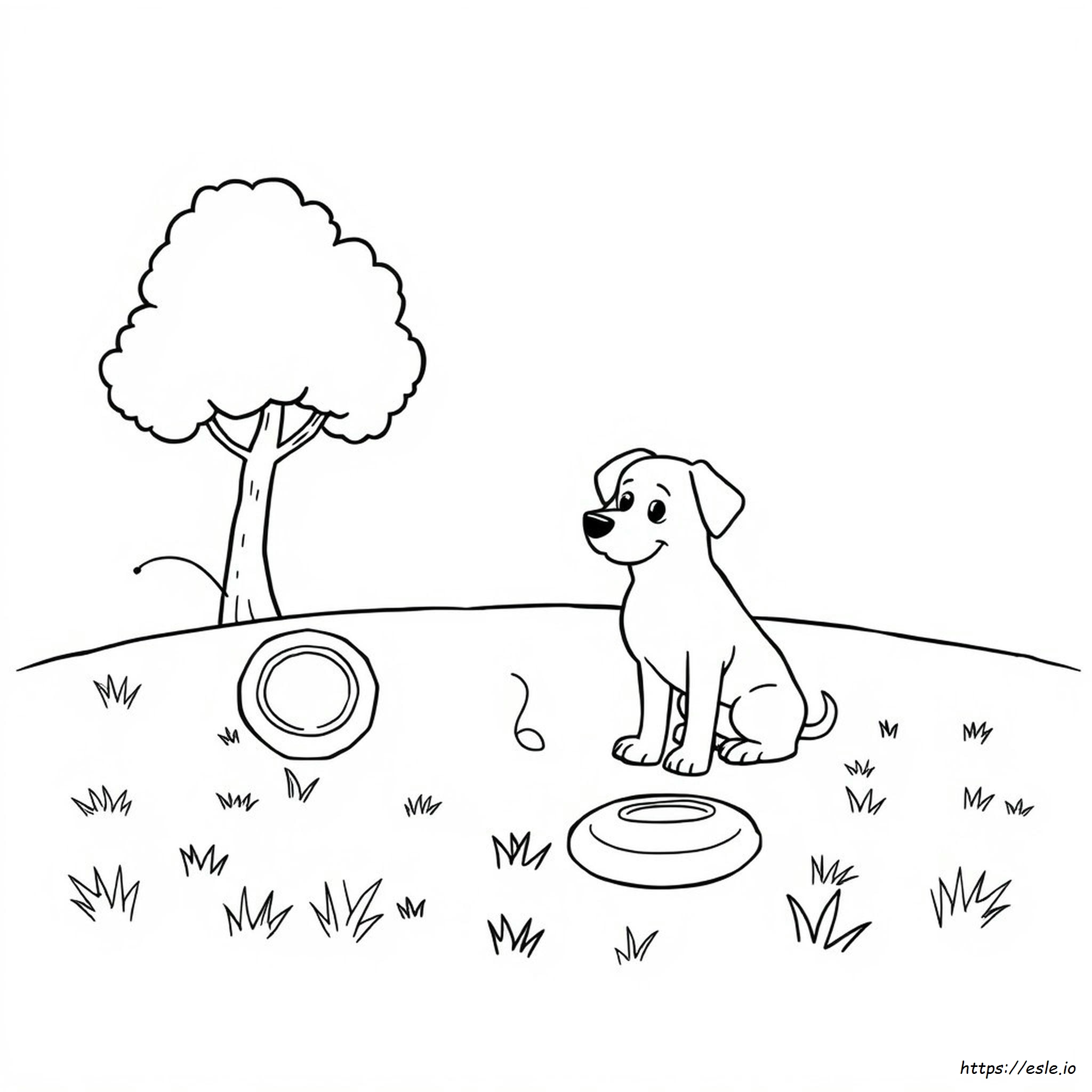 Animali Domestici Da Colorare E Stampare