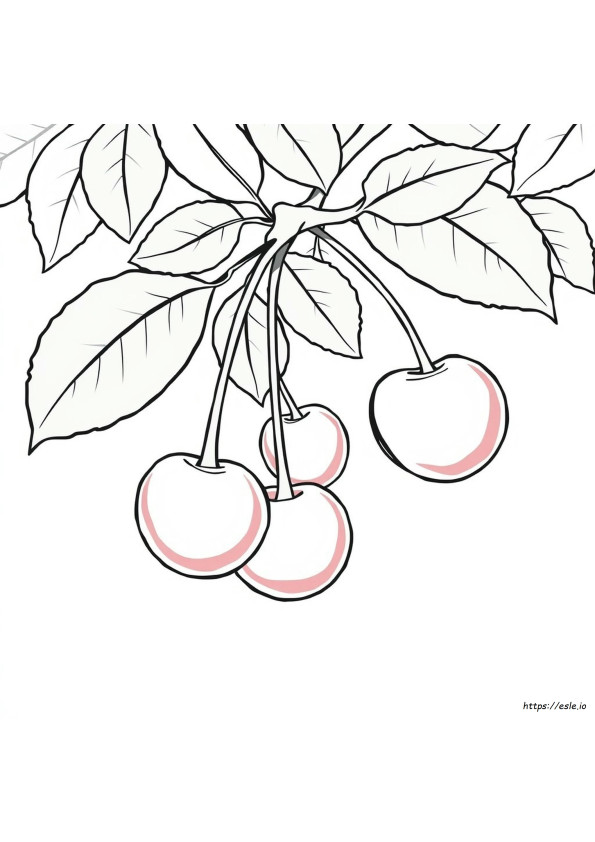 Gambar Mewarnai Buah Ceri