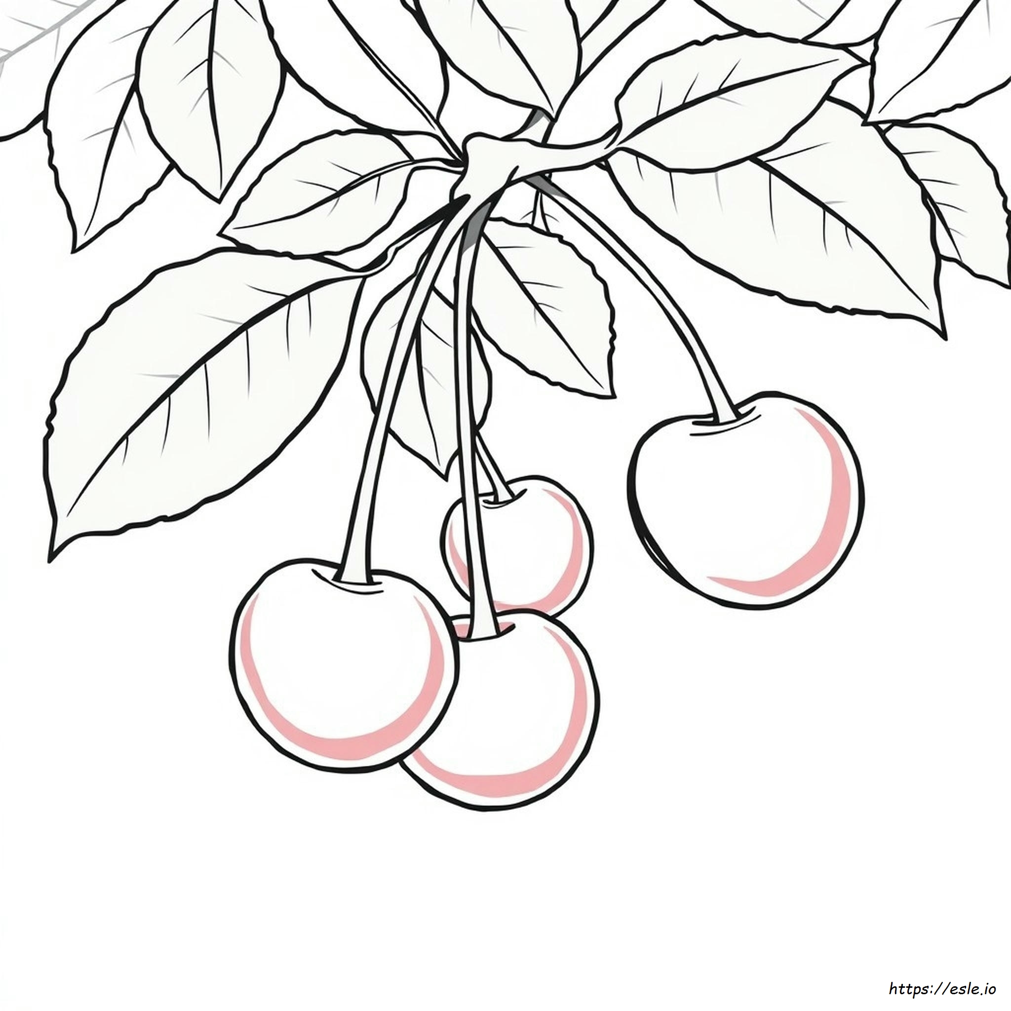 Dibujos De Cerezas Para Colorear