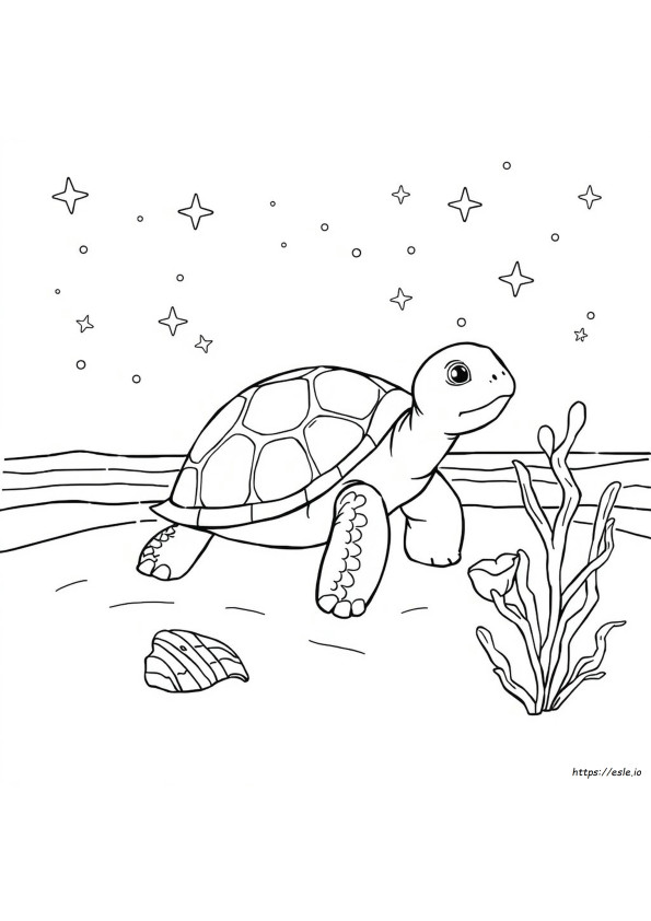 Tartaruga Para Colorir