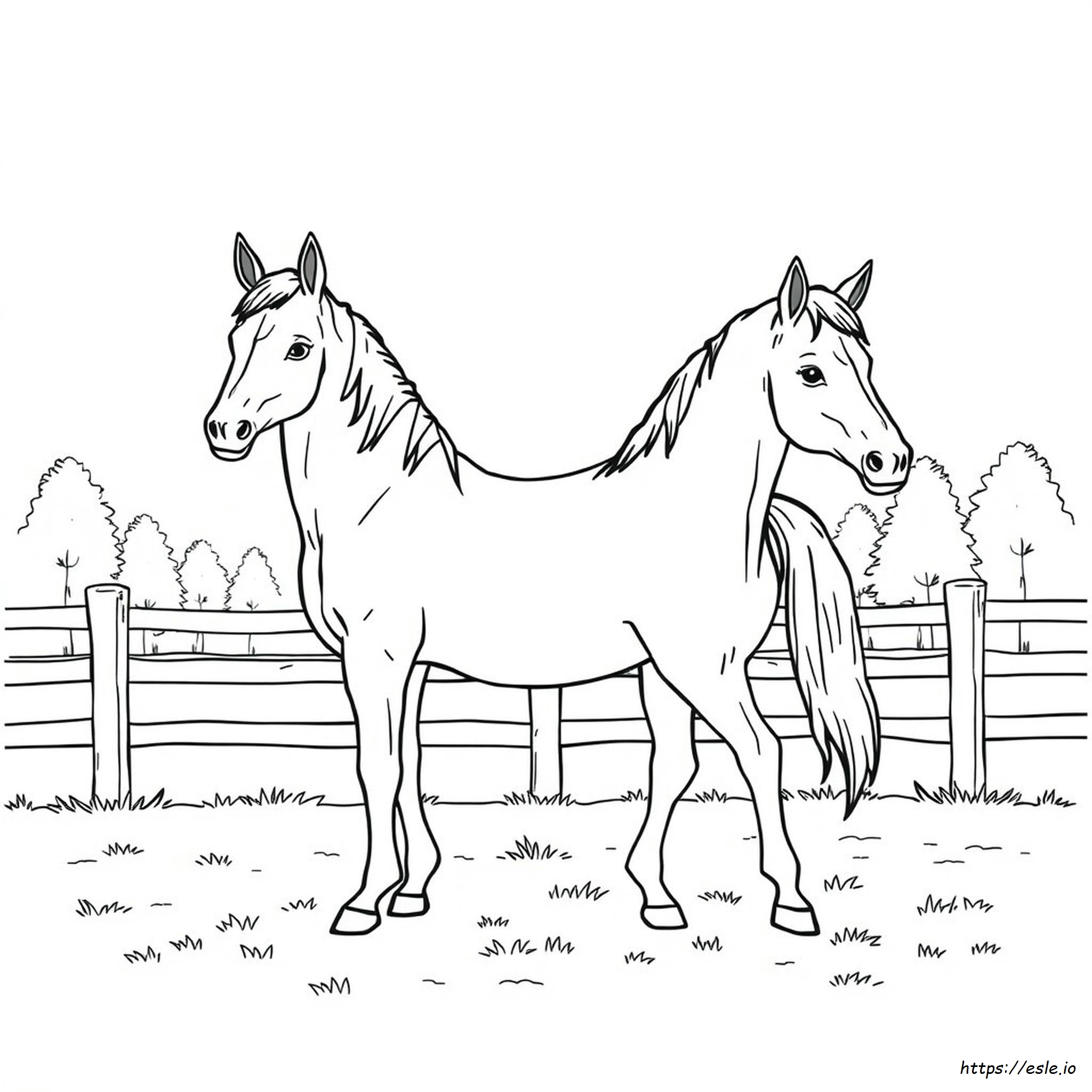 Breyer Horse Coloring Pages