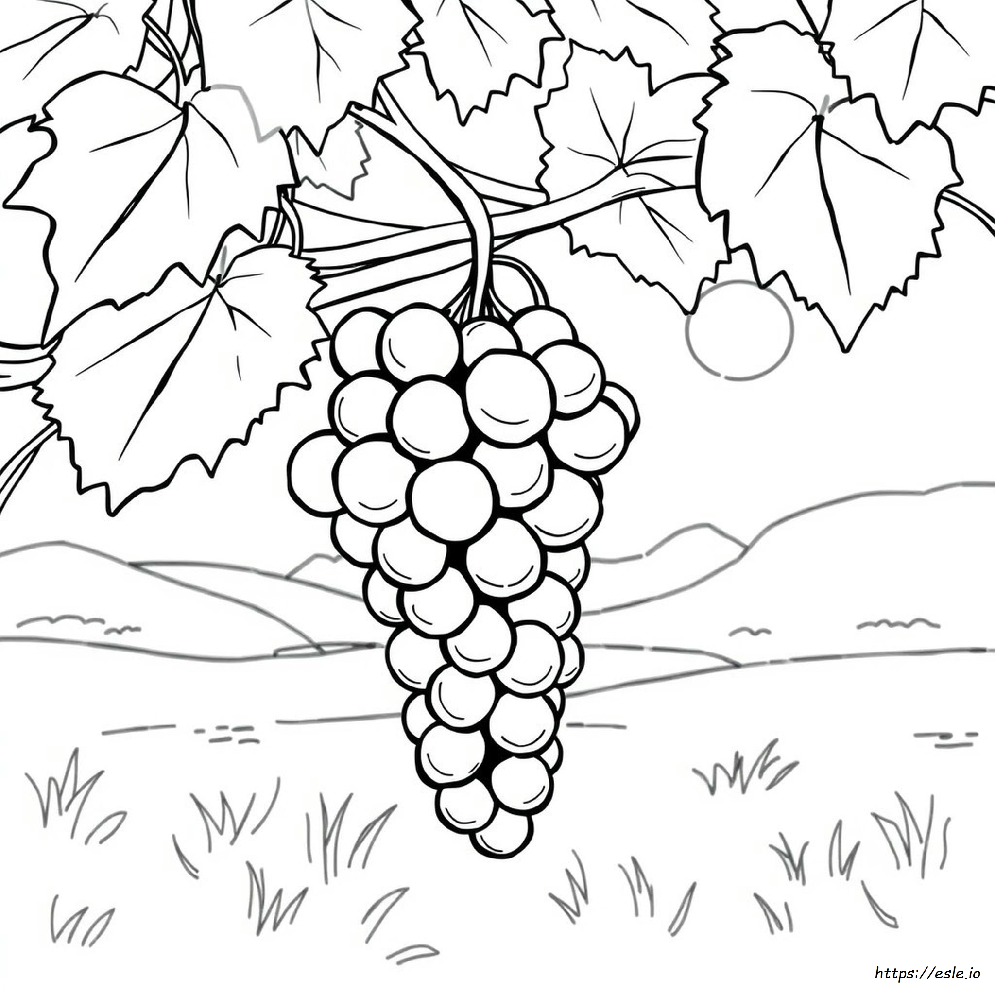 Uvas Para Colorear E Imprimir