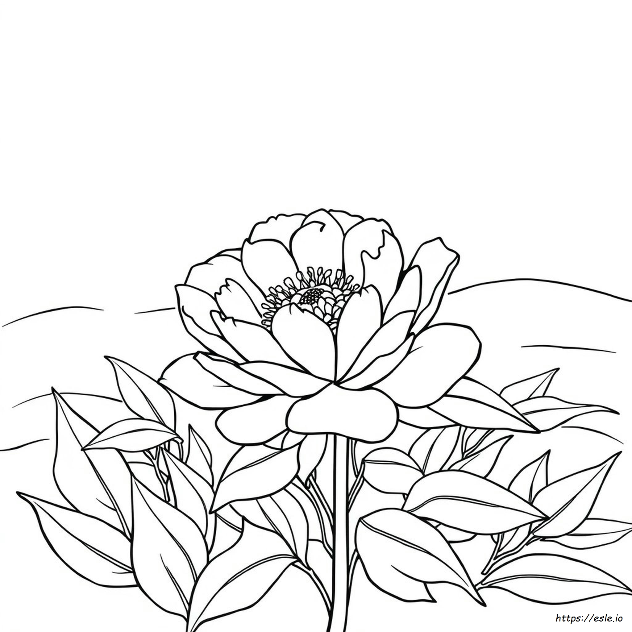 Página Para Colorear De Flor De Peonía