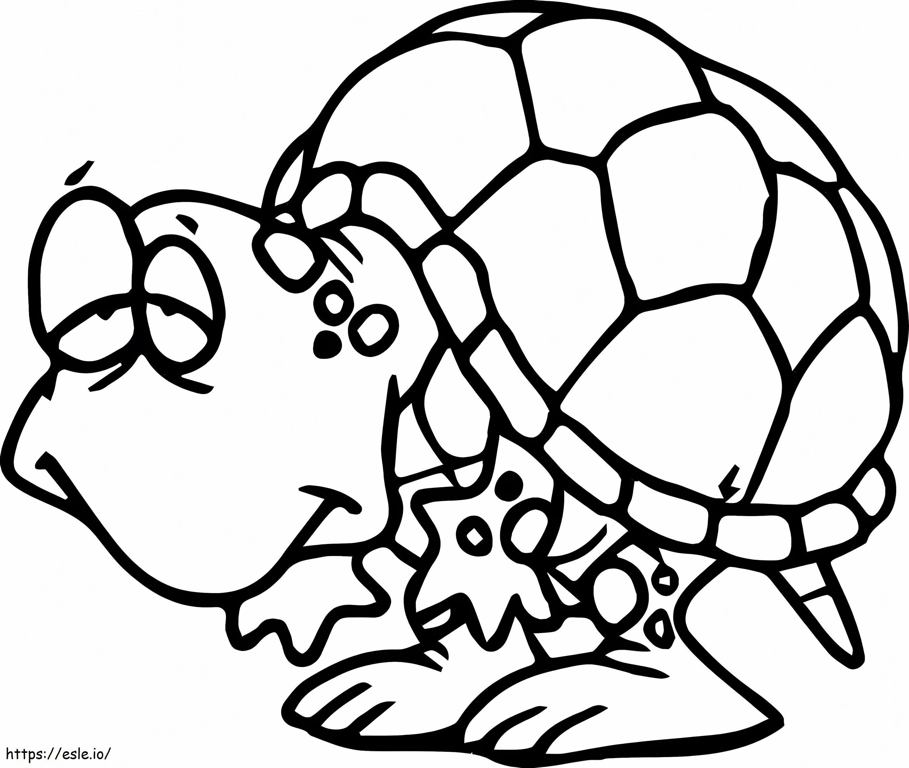Komik Yaşlı Kaplumbağa boyama