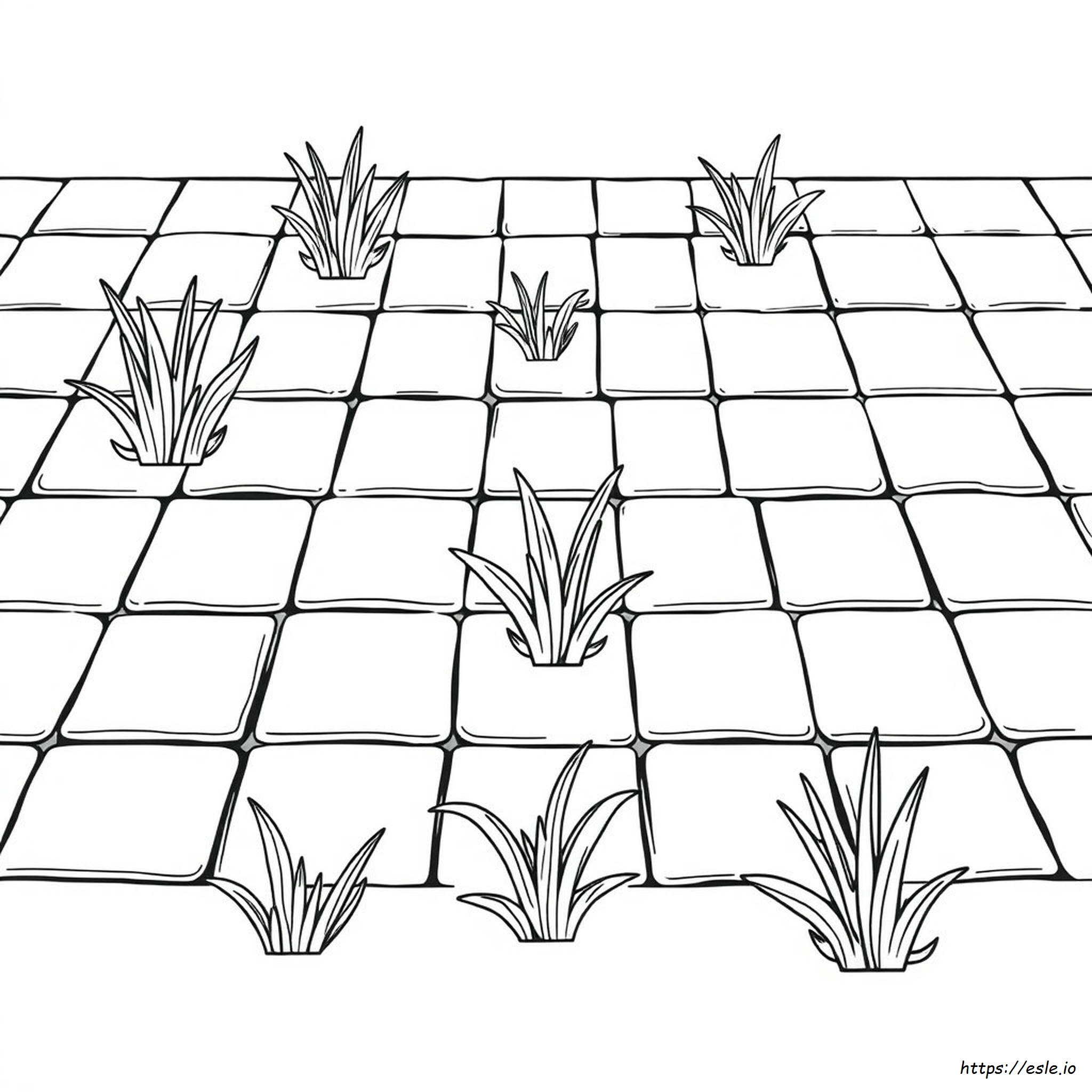 Paver Color Ideas