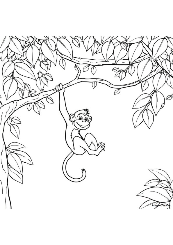 Coloriage Singe