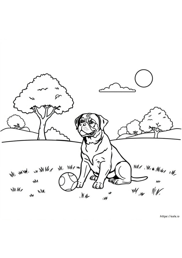 Gambar Mewarnai Rottweiler