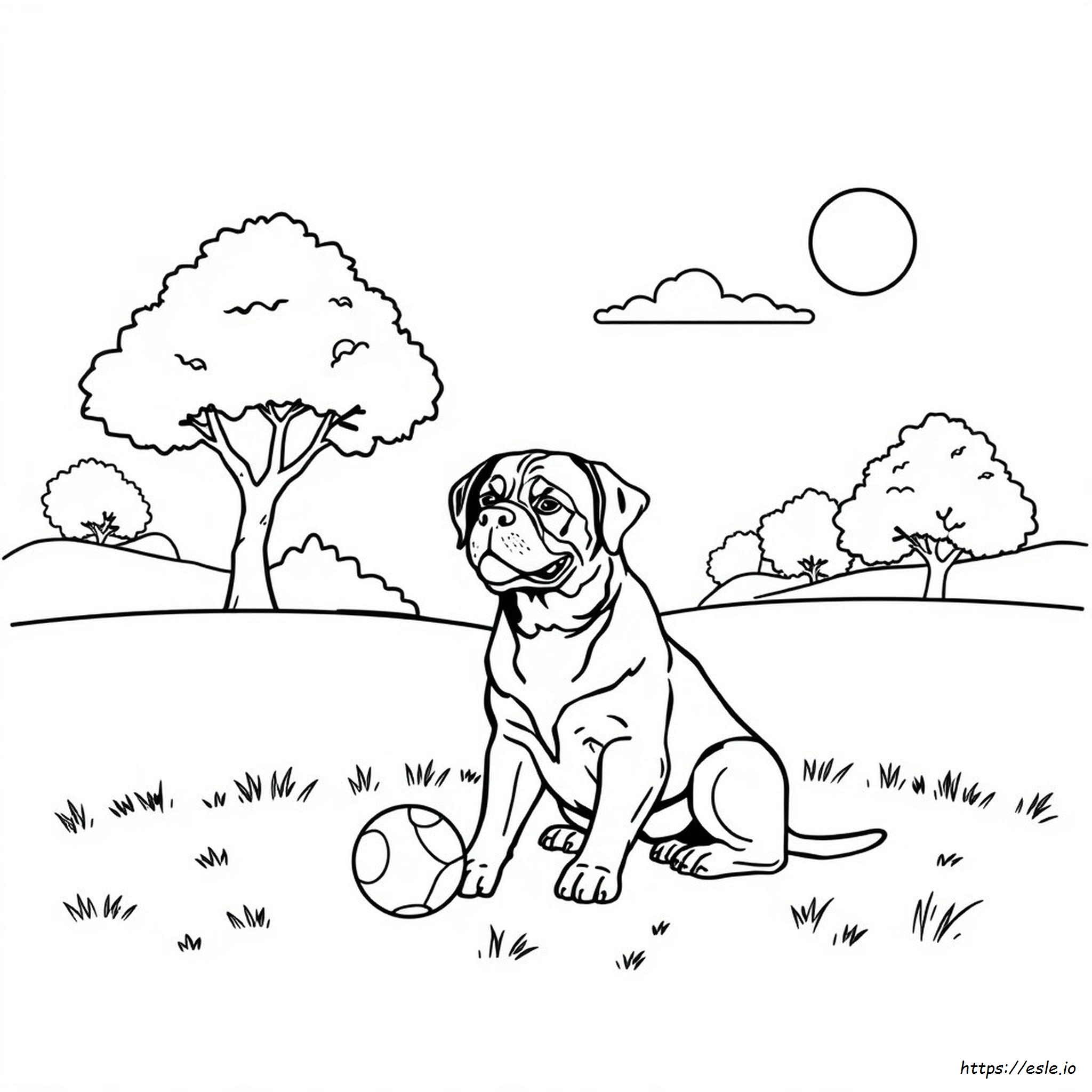 Coloriages Rottweiler