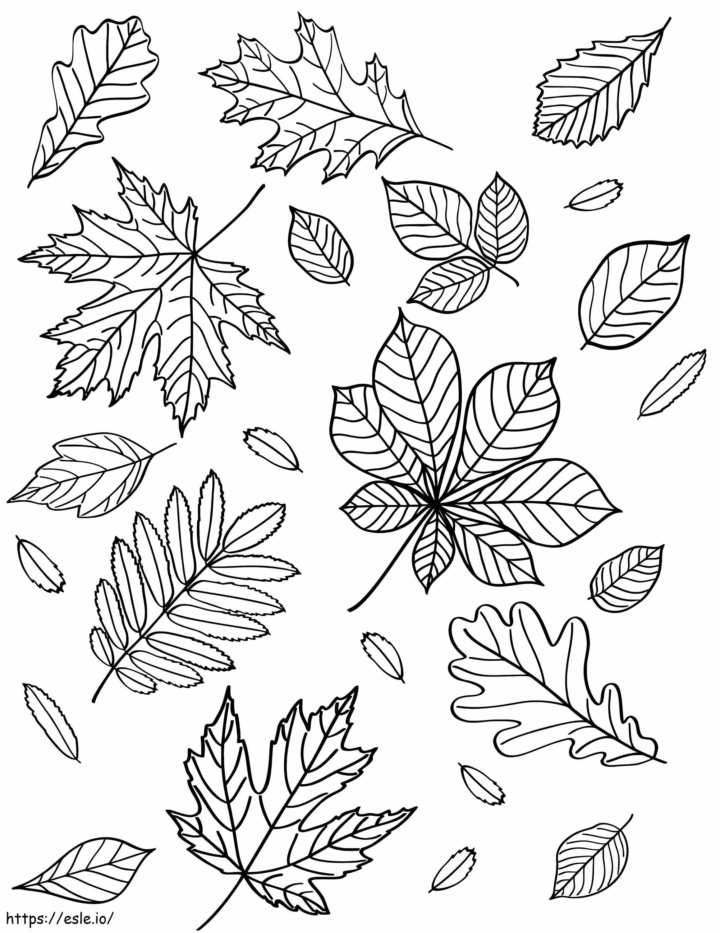 Folhas de outono 2 para colorir