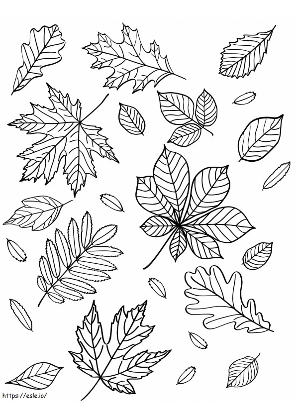 hojas de otoño 2 para colorear
