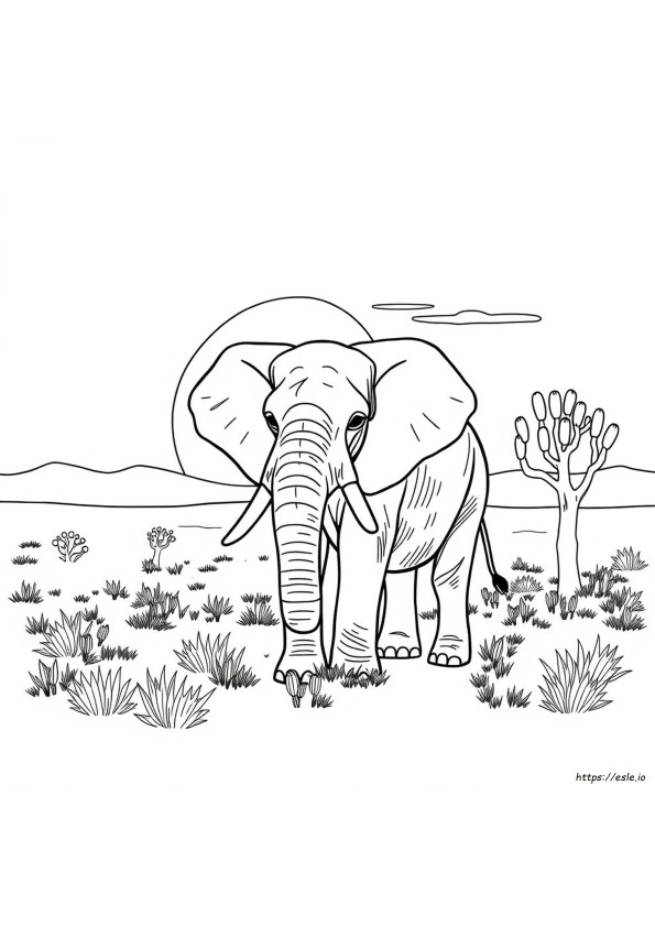 Elefante Para Colorear