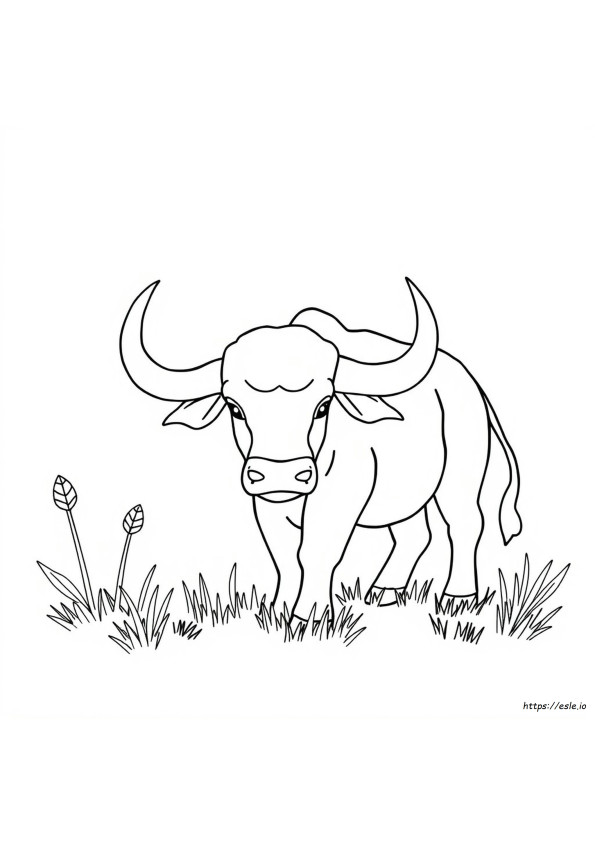 Warna Apa Yang Disukai Taurus
