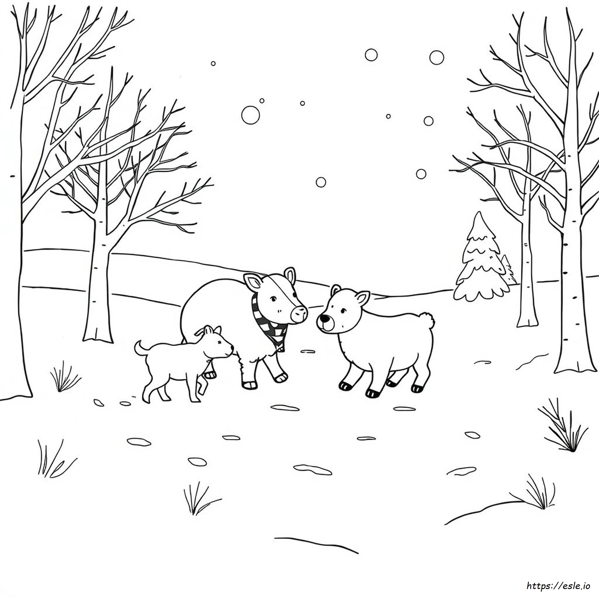 Animali Invernali Da Colorare