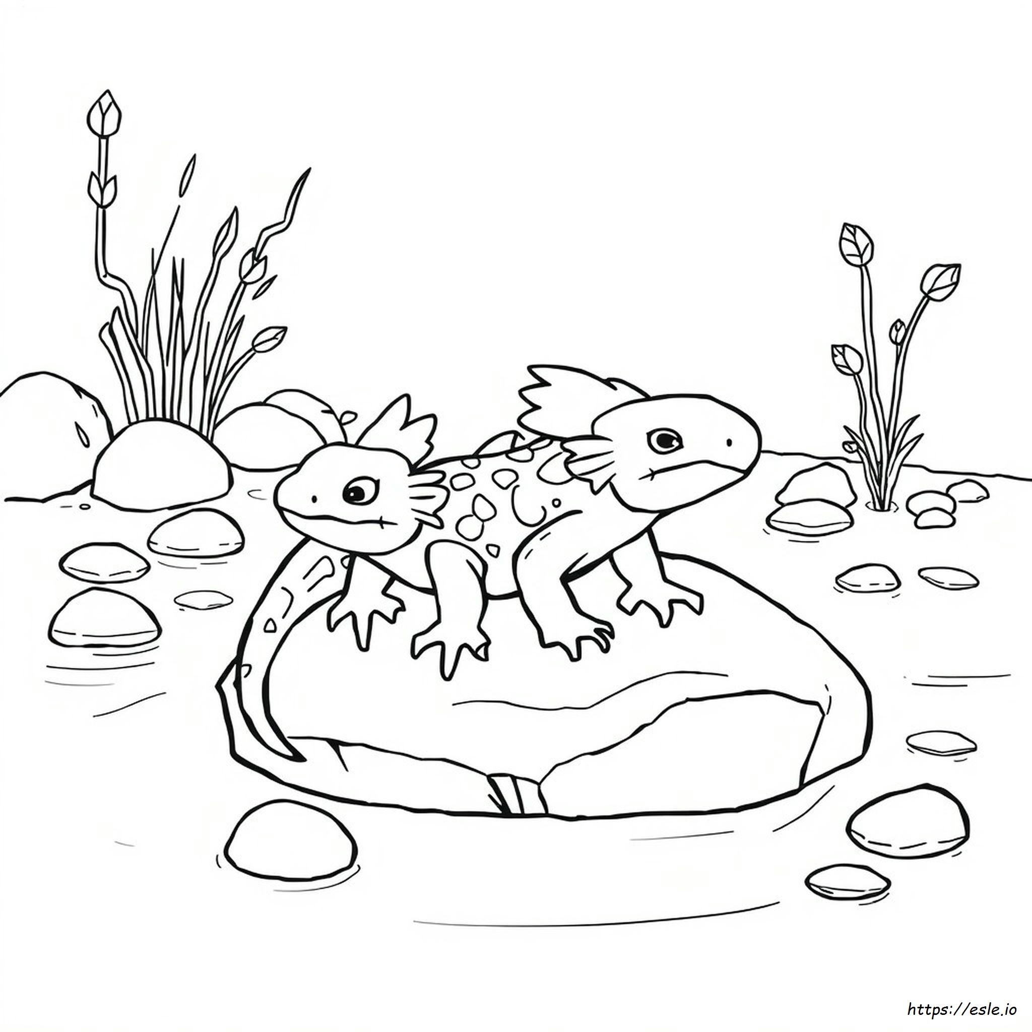 Axolotl Da Colorare Stampabile Gratis