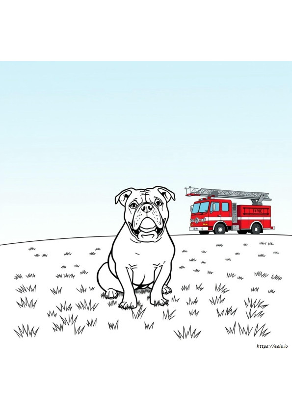 Gambar Mewarnai Bulldog Amerika