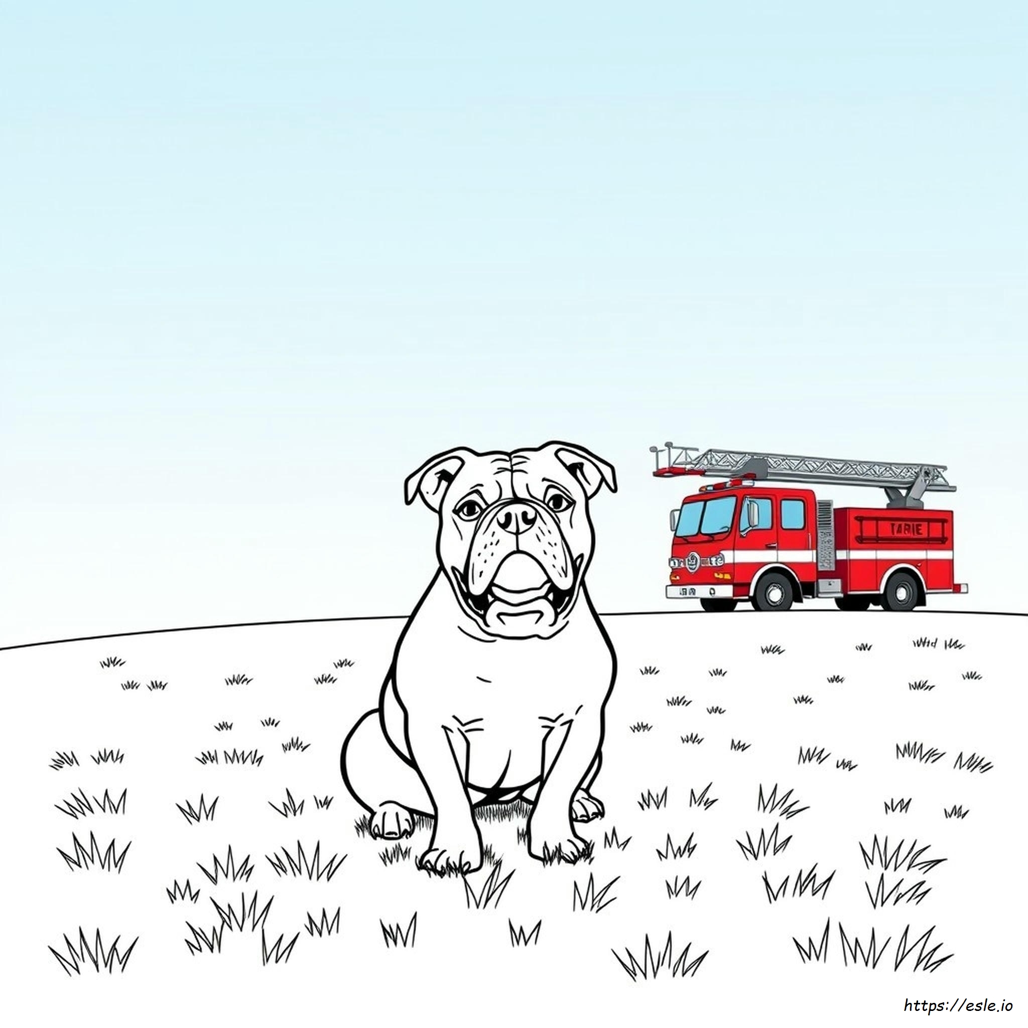 Amerikanbulldoggi Värityskuva