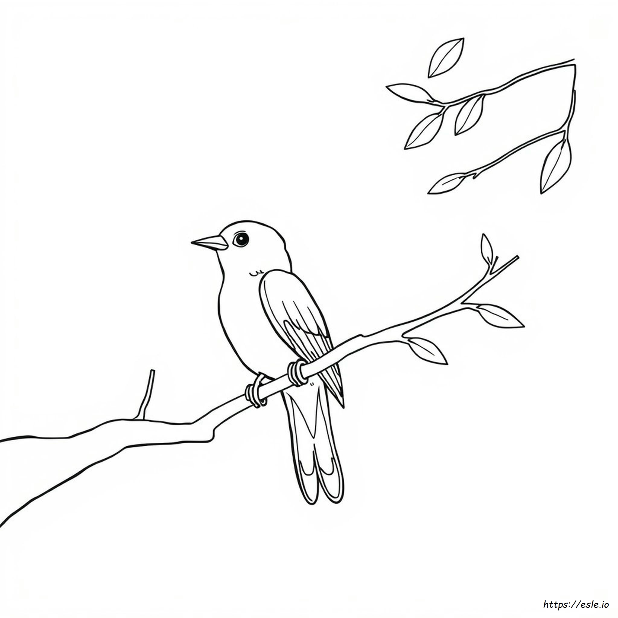 Cómo Colorear Un Pájaro Fácil