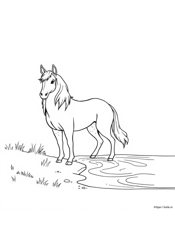 Kelpie Kleurplaat