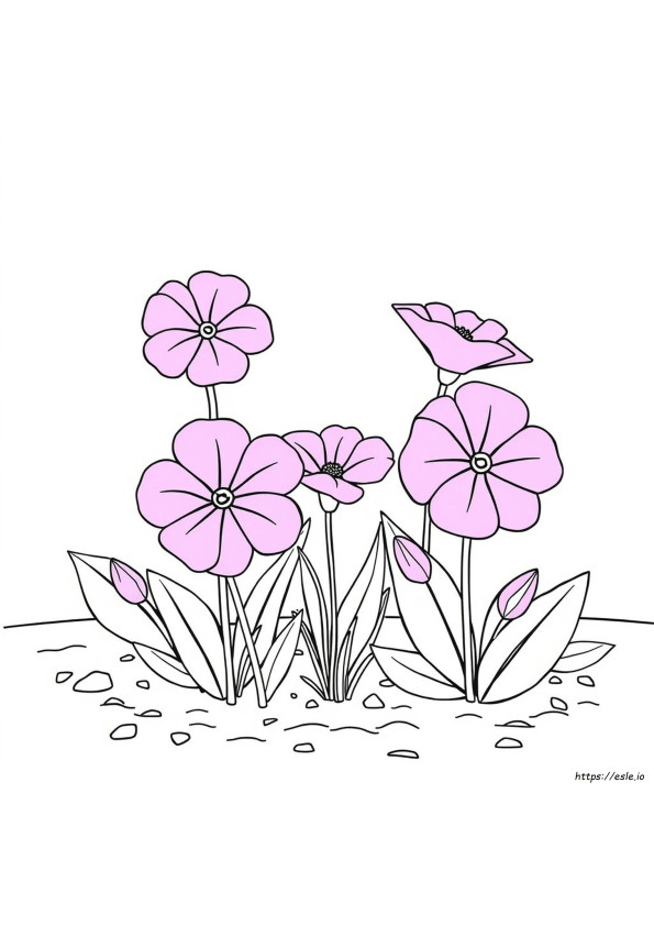 Gambar Mewarnai Magenta