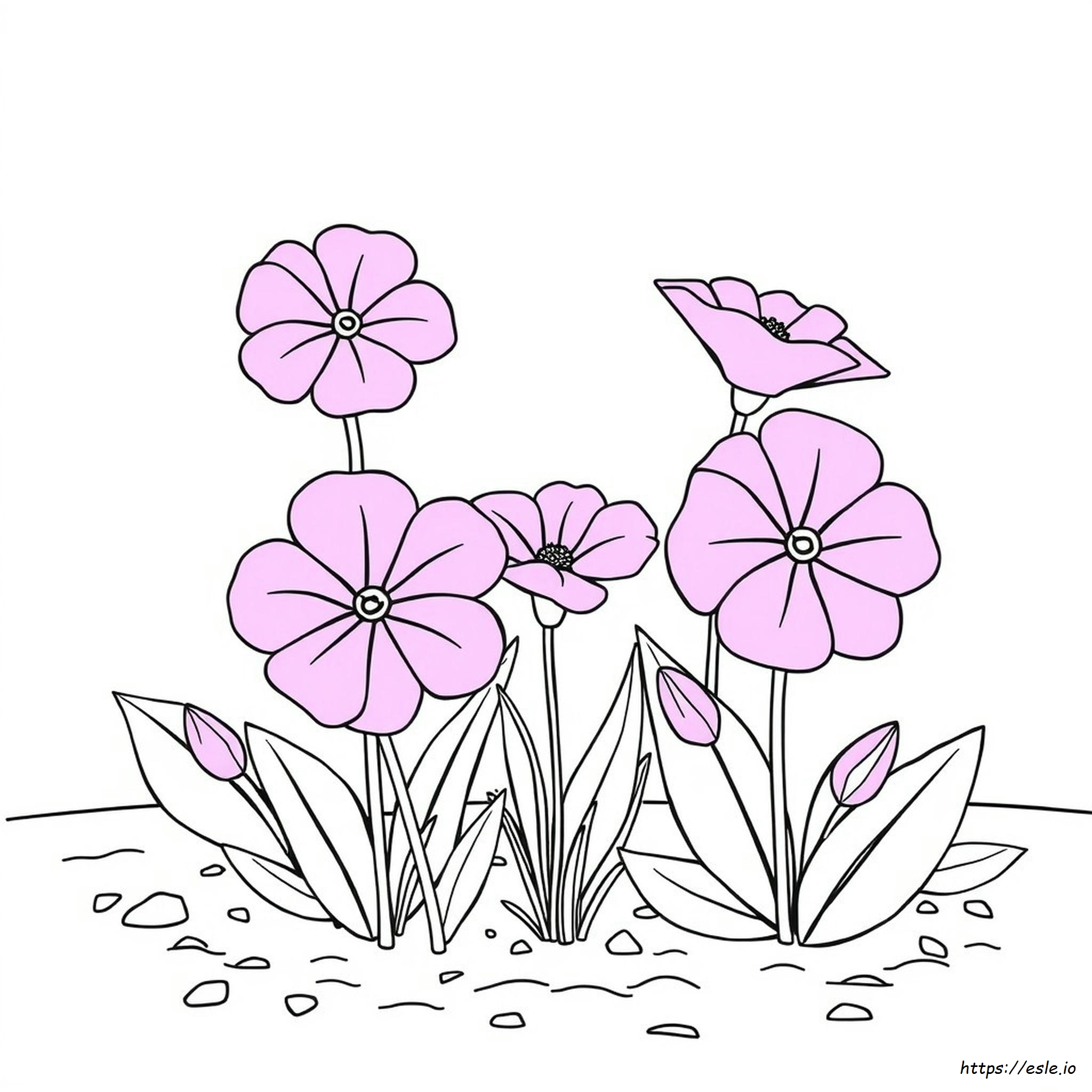 Dibujo Color Magenta
