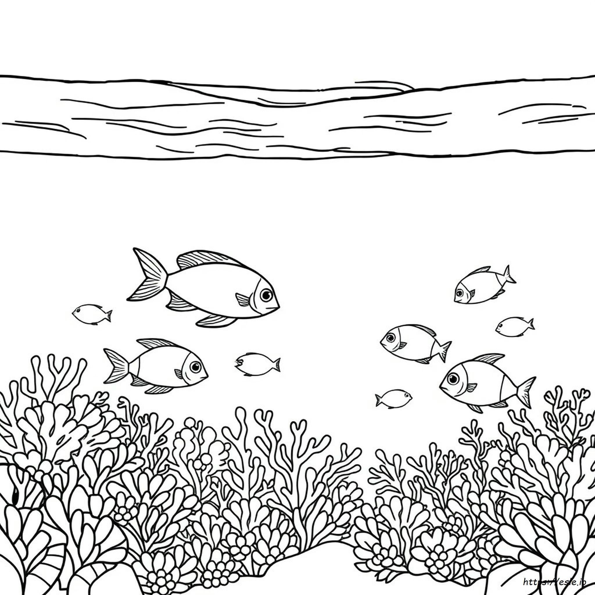 Under The Sea Colouring