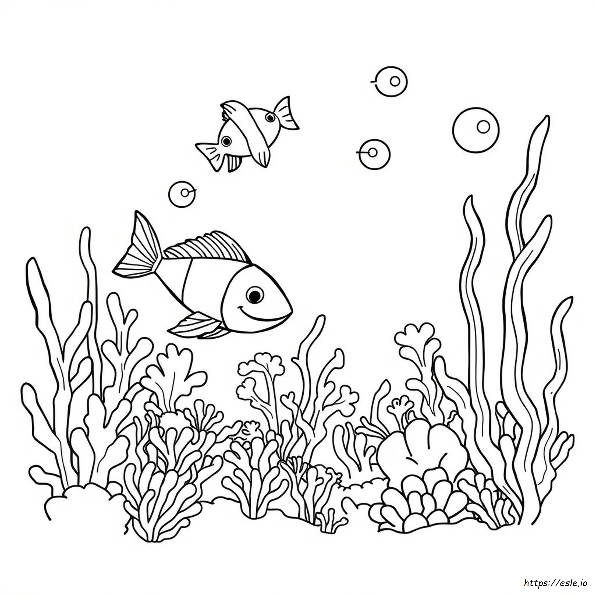 Ocean Creatures Coloring Pages Free