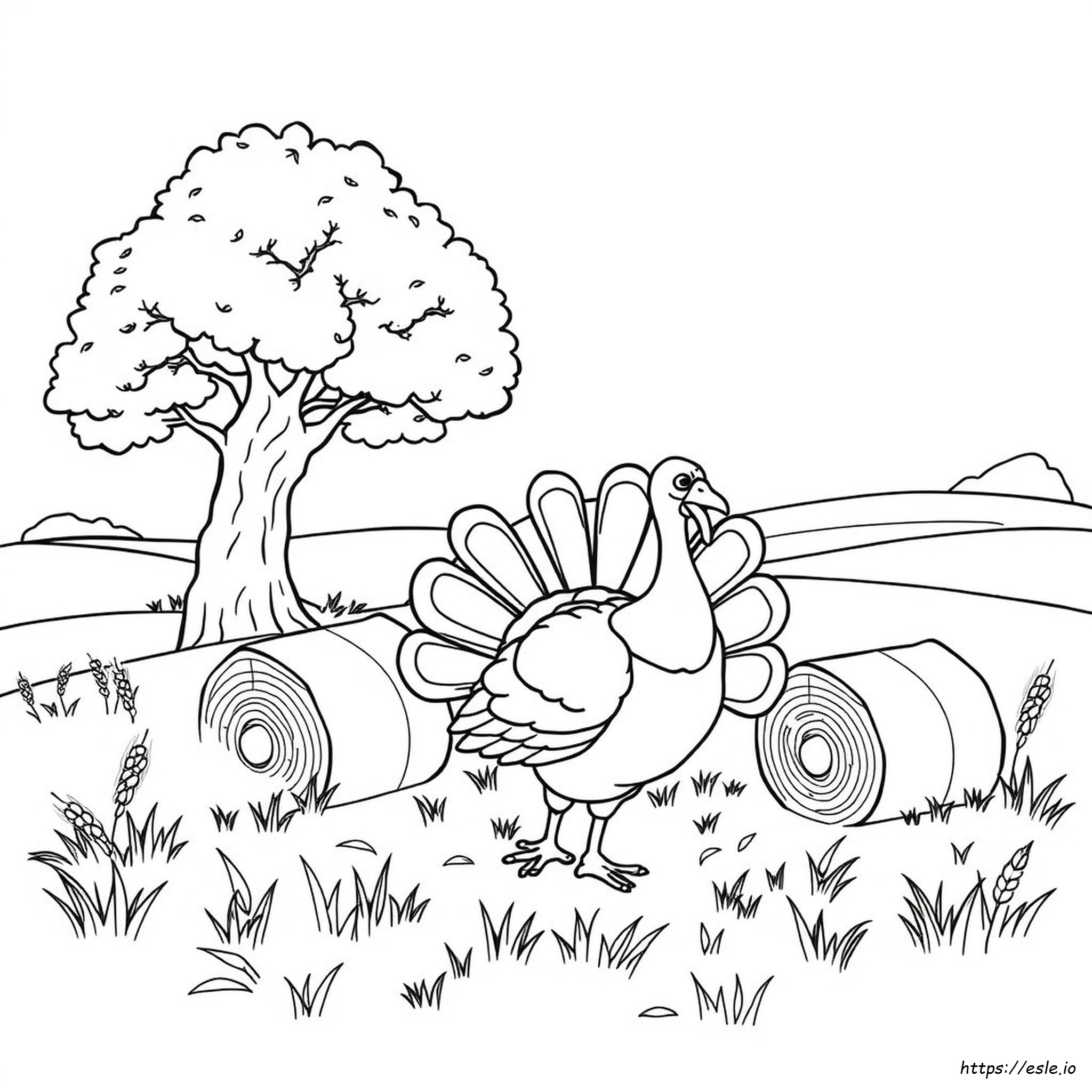 Dibujos De Turquía Para Colorear