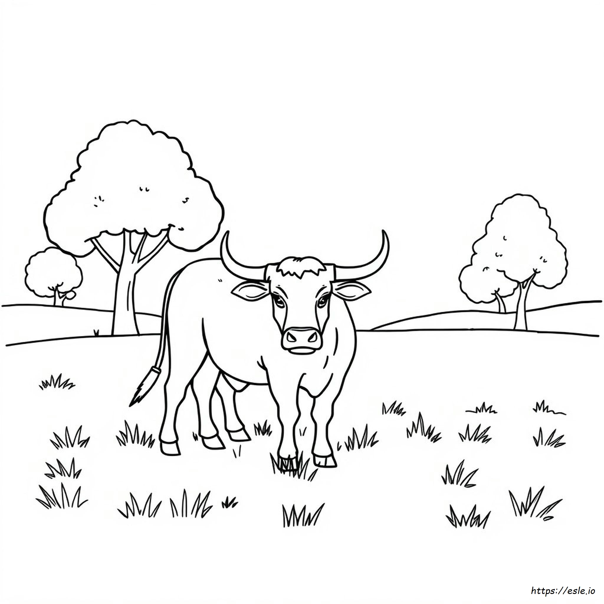 Coloriage Taureau