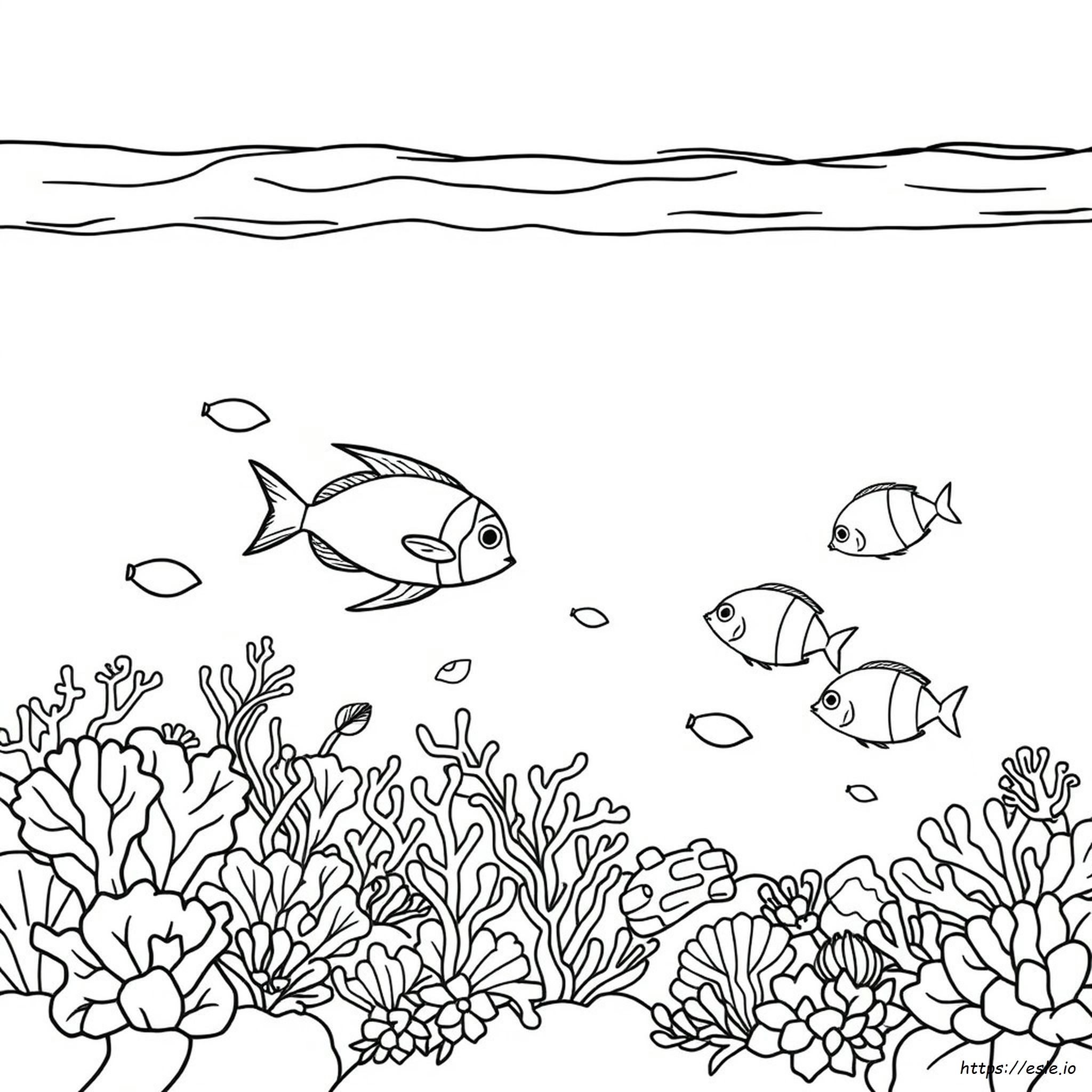 Coloring Pages Of The Ocean