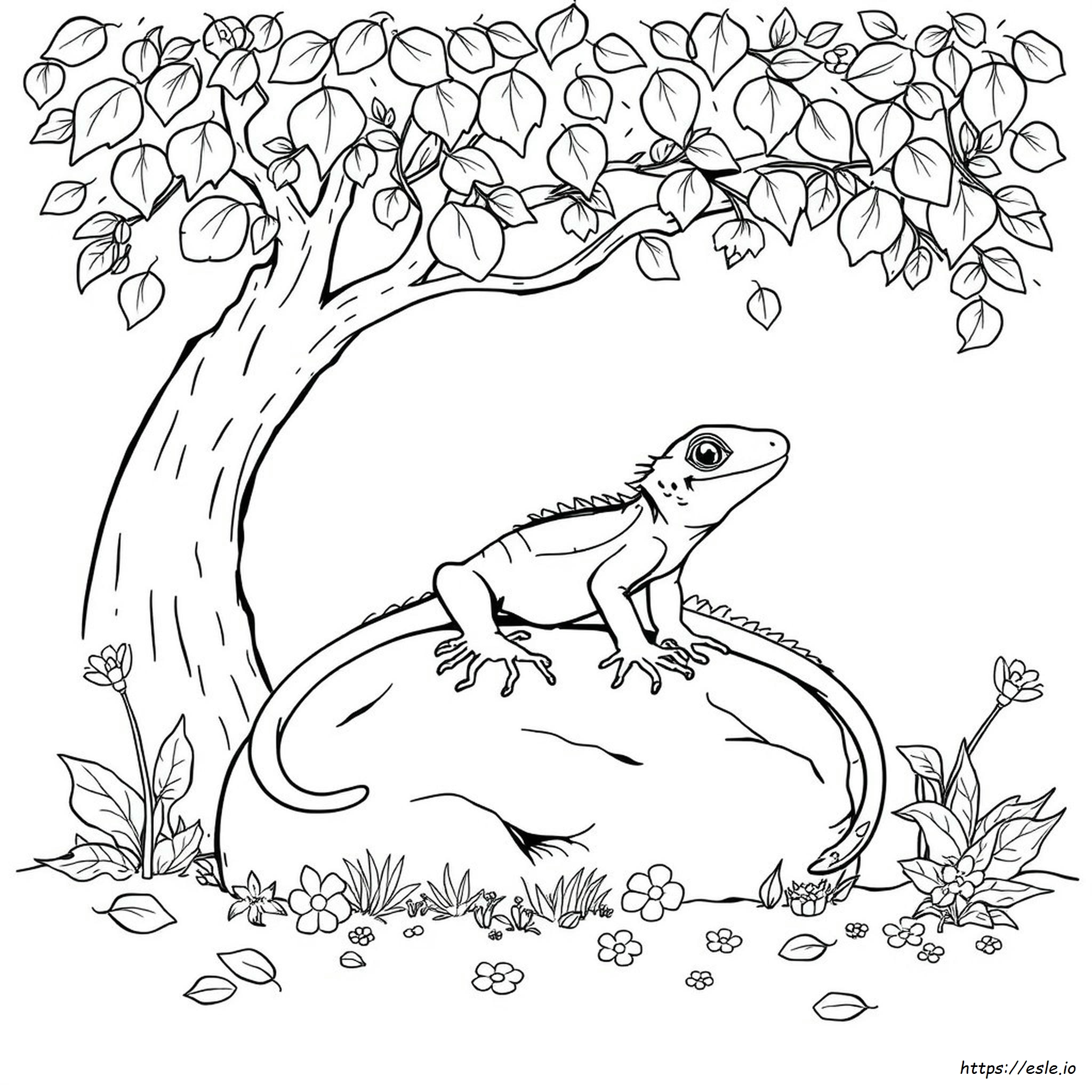 Lizard Colouring Pages Free Printable