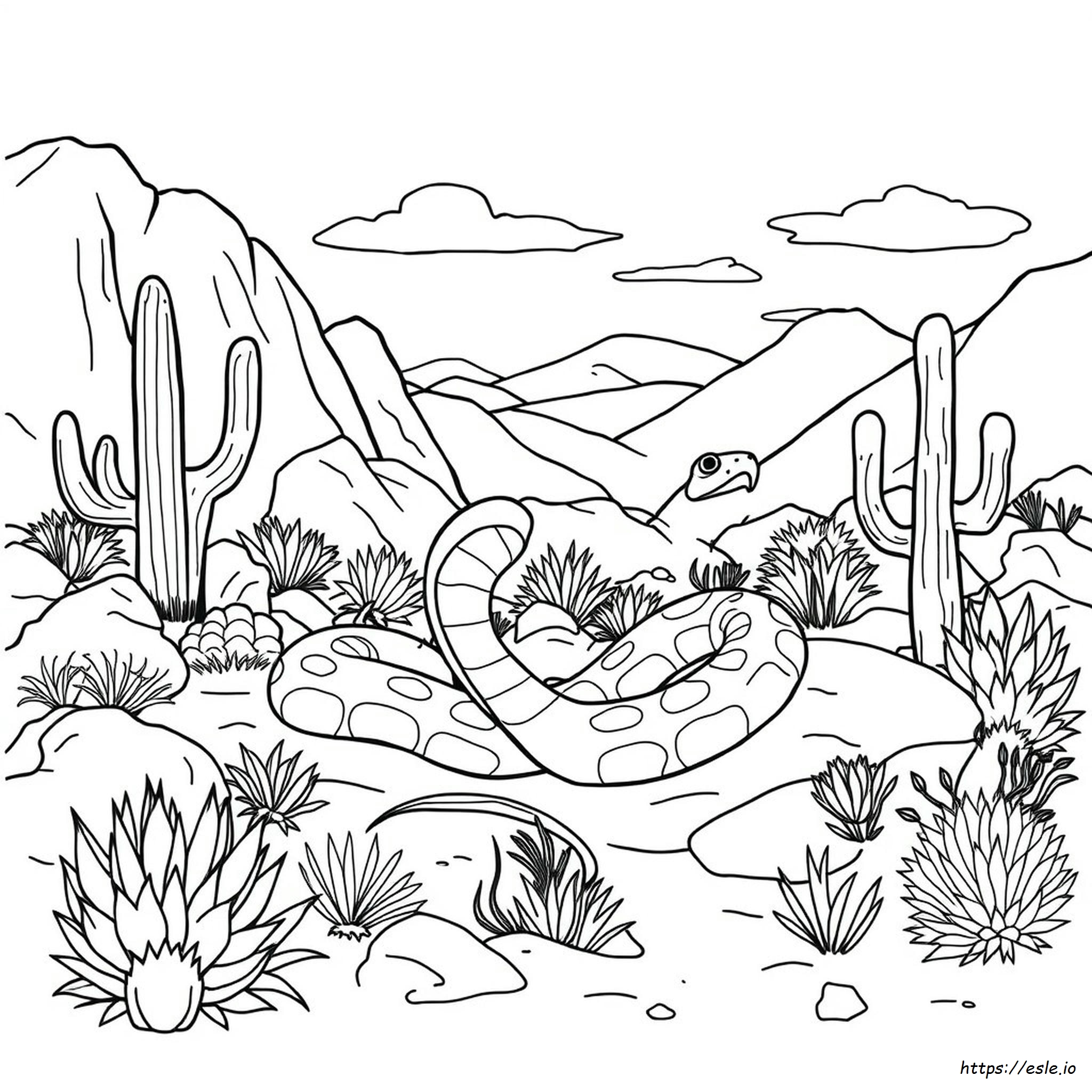 Can You Kill Rattlesnakes In Colorado