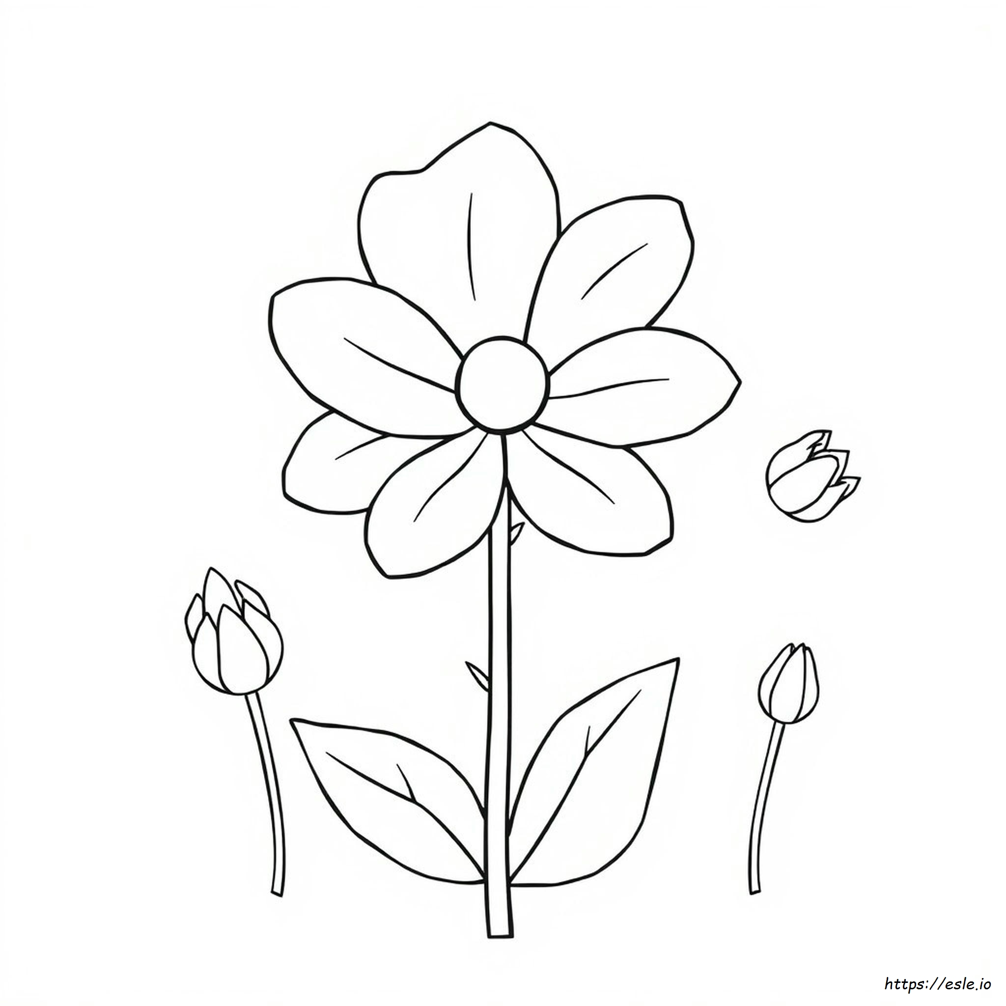 Partes De La Flor Para Colorear