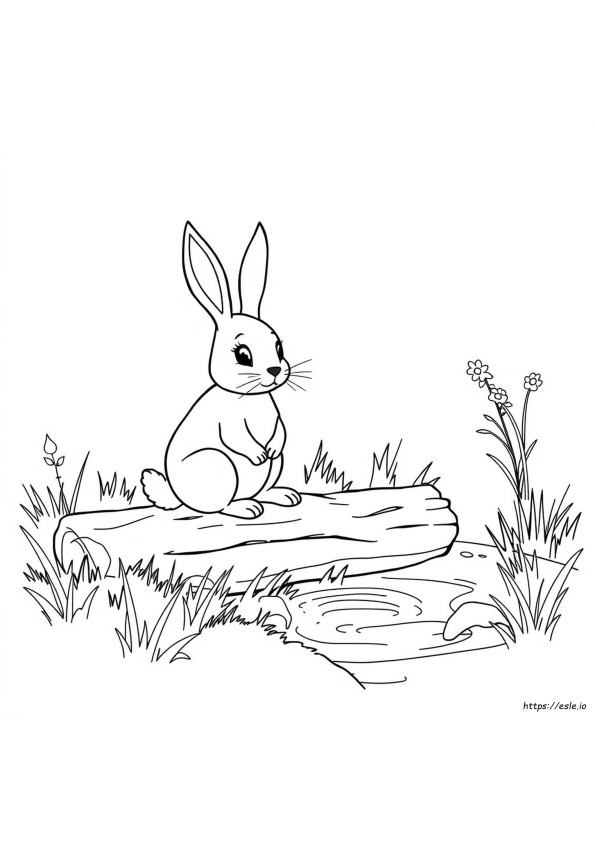 Coloriages Rm
