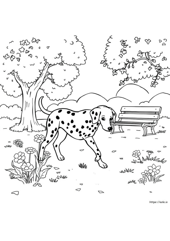 Dalmata Da Colorare