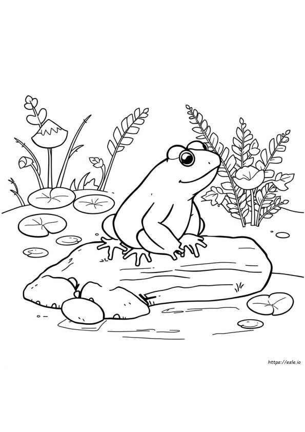 Coloriage Crapaud