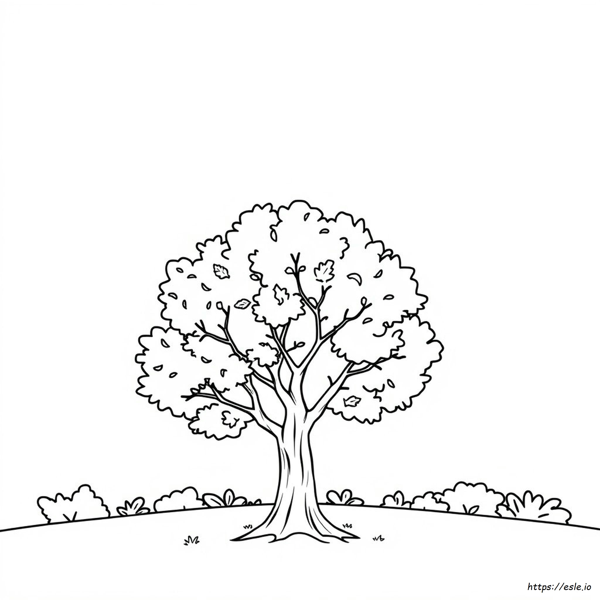 Disegni Autunnali Da Colorare Per Bambini Delle Scuole Elementari