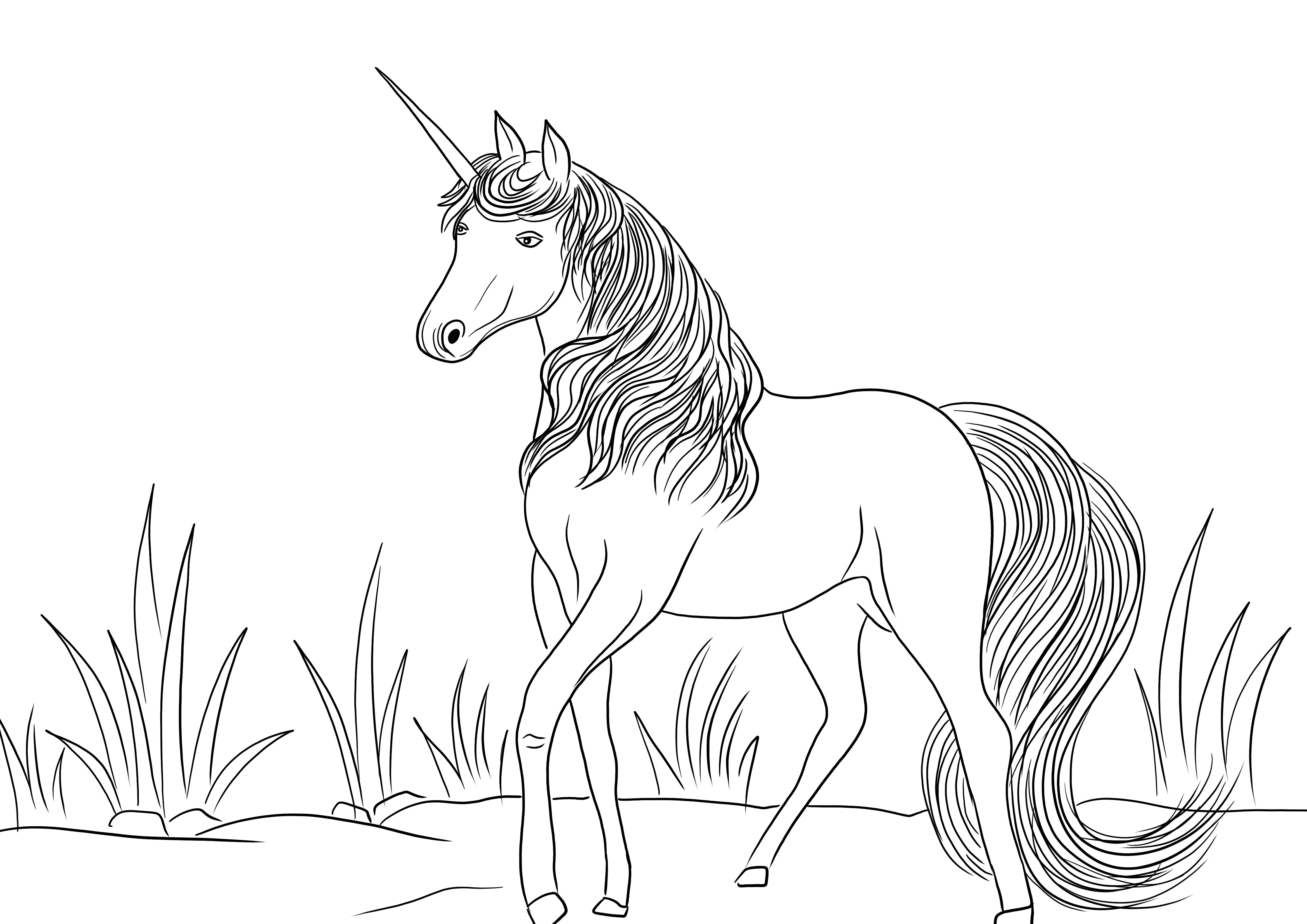 Free printable sheet of a Unicorn in the field to color by kids
