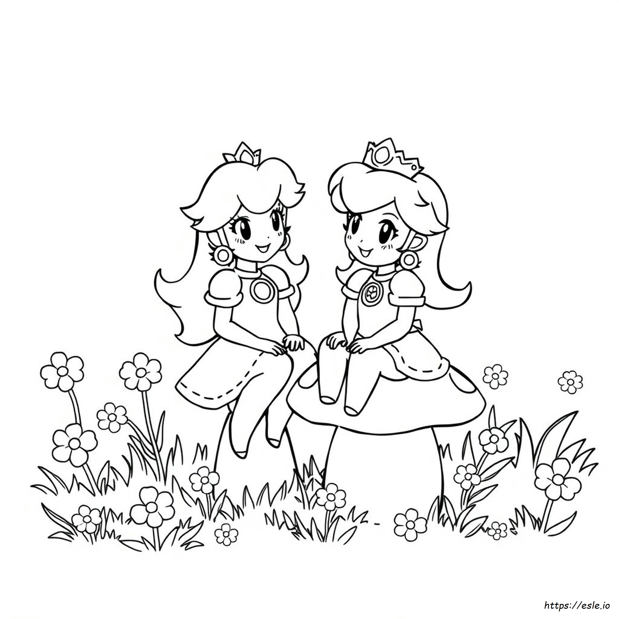 Rosalina Ausmalbilder Prinzessin Peach